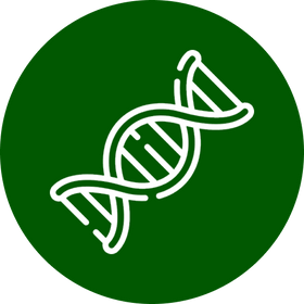 Non-GMO